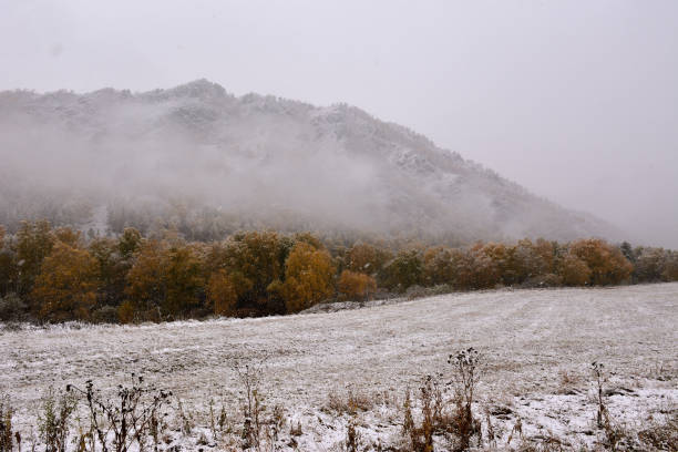 istock Low storm clouds over a mountain range and dense forest on the edge of a wide field covered with the first autumn snow. 2167850646