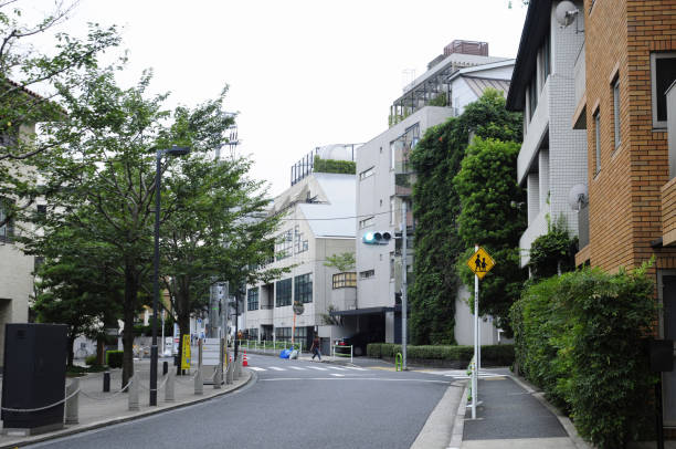 istock Residential streetscape 2167852184