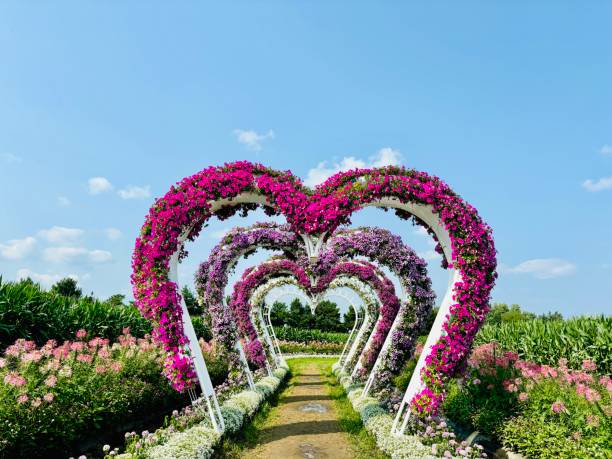 istock Heartshape flowers 2167853027