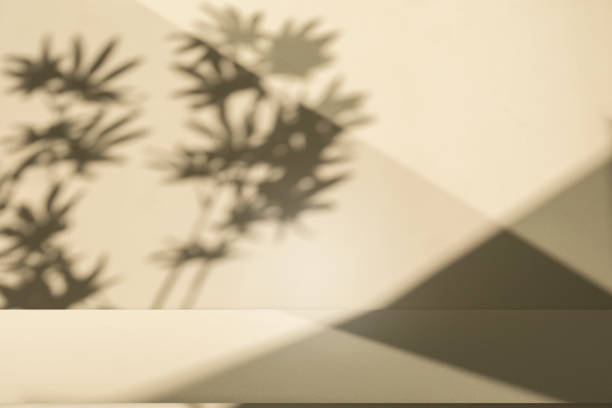 istock Studio style background wall decoration presentation uses white and beige tones. with shadows cast from a nearby window, concept creating a decorative 2167857126