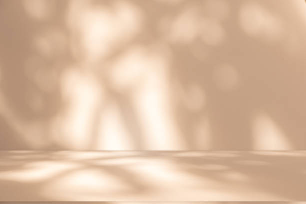 istock Studio style background wall decoration presentation uses white and beige tones. with shadows cast from a nearby window, concept creating a decorative 2167857136