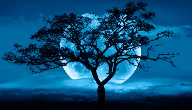 istock Lone dead tree with super full blue Moon, amazing clouds in the background 2167859481