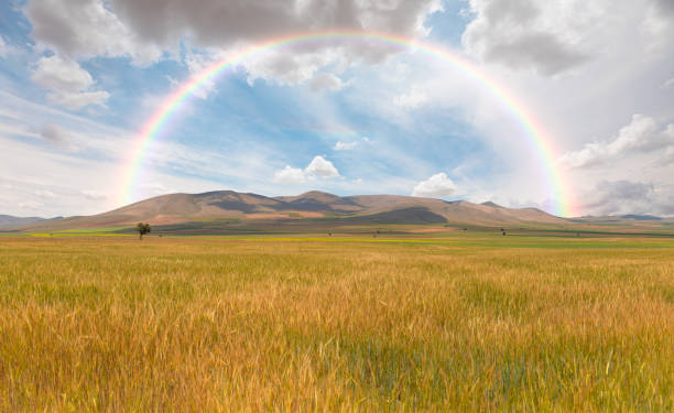 Two rainbow over agricultural field with beautiful blue sky