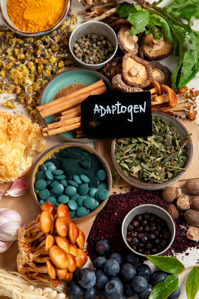 istock Adaptogen healthy food. Herb and spice collection on light background 2167859577