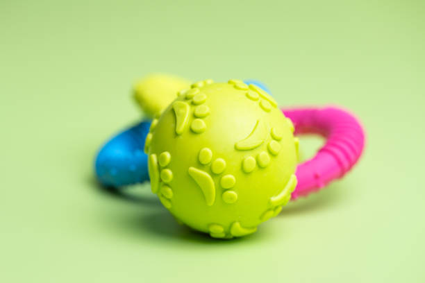 istock dog toys 2167864808