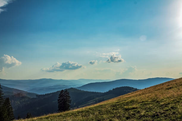 Landscapes - Forest - Europe, Romania