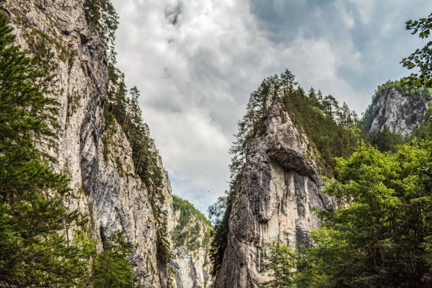 istock Landscapes -  Forest - Europe, Romania 2167866318