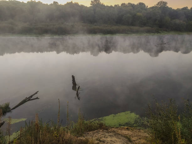 view of xochimilco in the sunrise