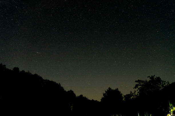 Night sky full of stars and silhouettes of forrest, Andromeda Galaxy