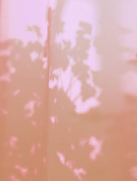 Light and shadow sunset, floral pattern on pink silk fabric. Vintage textile background. Abstract backdrop with crossed lines shadows. Wabi sabi style aestetics