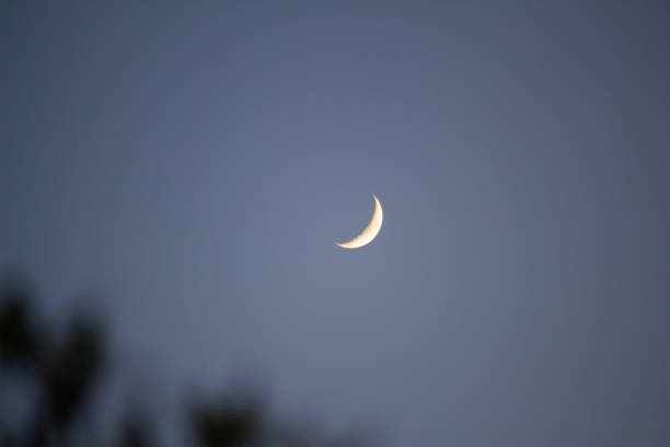 istock Crescent Moon in a Clear Evening Sky 2167870217