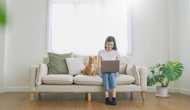 istock Asian beautiful lady with bwork at the notebook sit down on the sofa at home, technology woman concept for alternative office freelance Young happy Asian woman using laptop on her lap with pet dog 2167870306