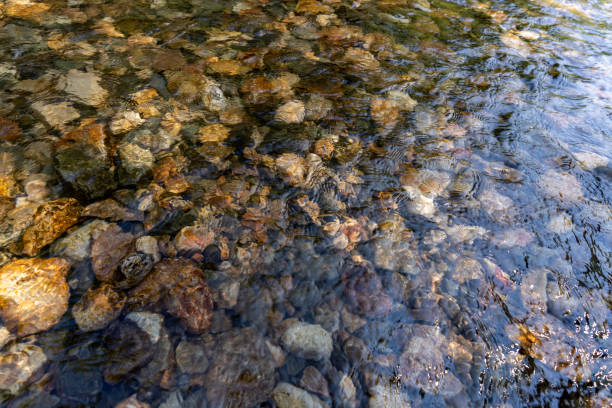 istock Clear river water and rocks on the riverbed 2167871291
