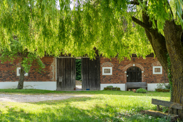 Weeping Willow and farm house, Grieskirchen, Austria