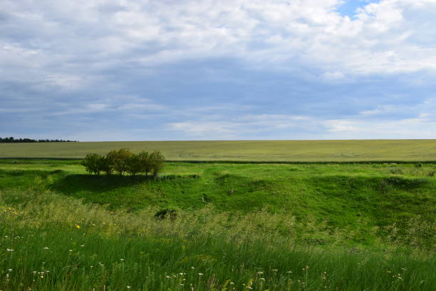 istock Summer landscape over agricultural farm. 2167873589