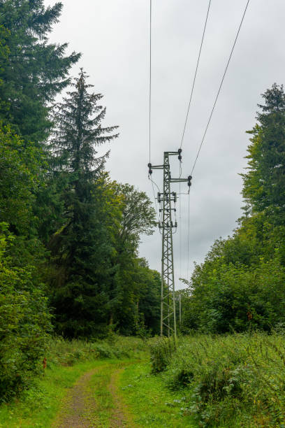 istock power line tower is in the middle of a forest 2167876590