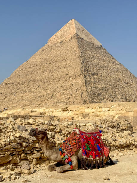 istock the great pyramids of giza with camel 2167882119