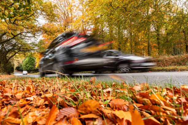Low angle view of cars on a road through a wood. Fast blurred vehicles with fallen leaves on foreground. Nature and transport concepts