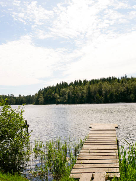 Lake landscape photography. Beautiful view.