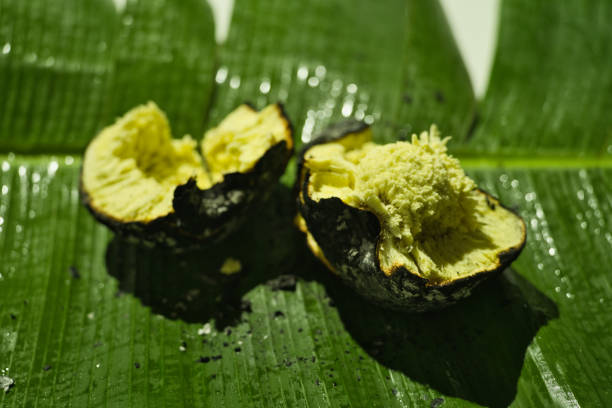 roasted Bread fruit, break open on banana leaves, Seychelles authentic cuisine