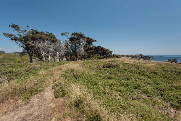 istock Wild coast of the Ile d'Yeu 2167889032
