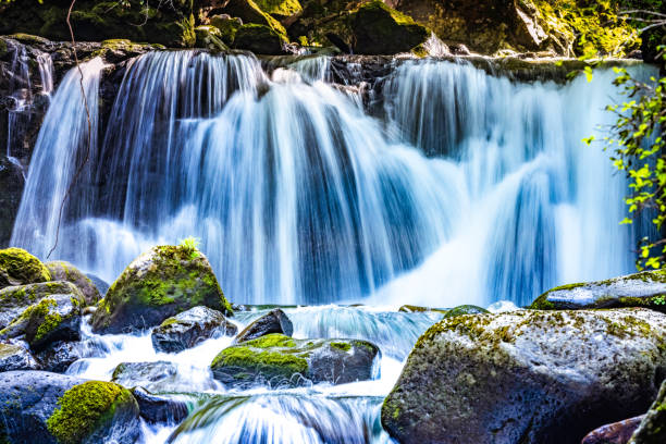 Long exposure of a cascading waterfall flowing over moss-covered rocks in a forested area