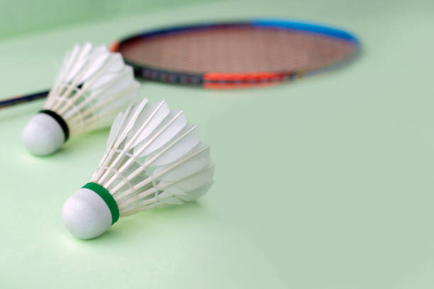 istock Badminton sports 2167889196