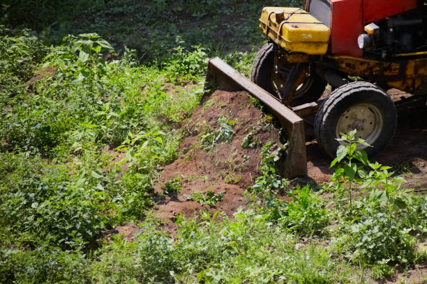 istock an excavator clears tall green grass, preparing a construction site, an old tractor removes green grass, site clearing, beginning of work, nature and machinery 2167889822