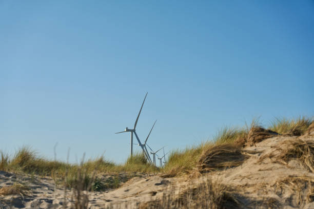 wind turbine on the beach in zeeland