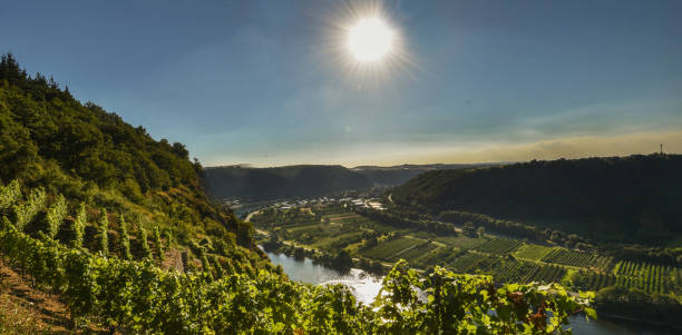 A Magical Germany pictures