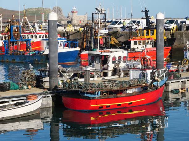 istock Boats at harbor 2167897243