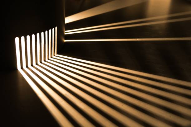 Sunlight casts shadows on the wall