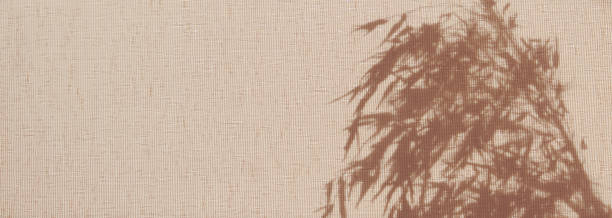 istock Light and shadow sunset, floral pattern. Vintage textile background. Abstract backdrop with crossed lines shadows. Wabi sabi style aestetics. 2167899150