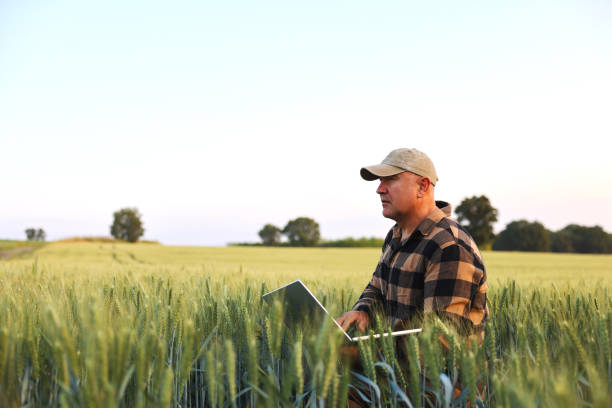istock Farmer working with laptop on wheat field. 2167899644