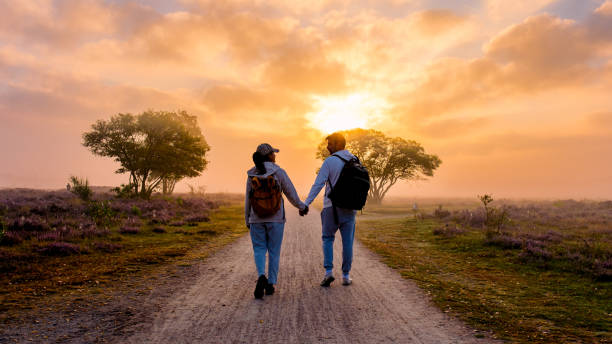 istock Couple strolling hand in hand through blooming heather fields at sunset in Veluwe Zuiderheide 2167900313