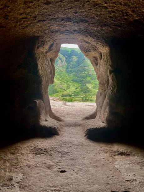 istock Window to the wild: A view through time’s portal 2167900327
