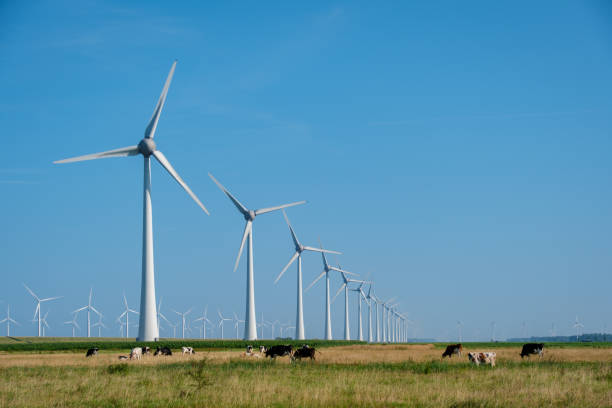 istock Rolling Meadows and Majestic Windmills Under a Bright Dutch Sky 2167900891