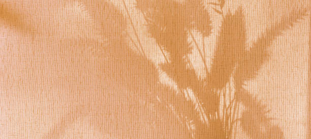 Light and shadow sunset, floral pattern. Vintage textile background. Abstract backdrop with crossed lines shadows. Wabi sabi style aestetics.
