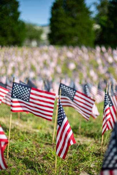 istock Small American flags planted in the grass for Independence Day 2167906266