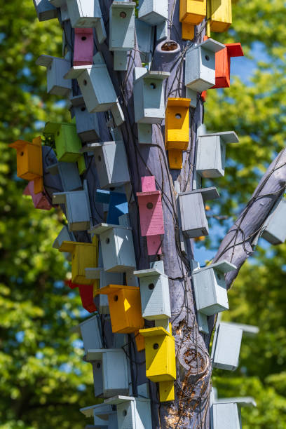 istock tree with colorful birdhouses in Riga, Latvia 2167911278