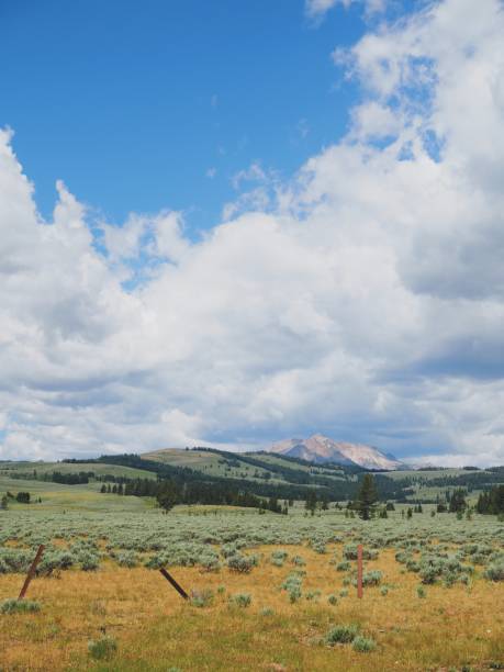 istock Yellowstone National Park Mountain range with plains 2167911422