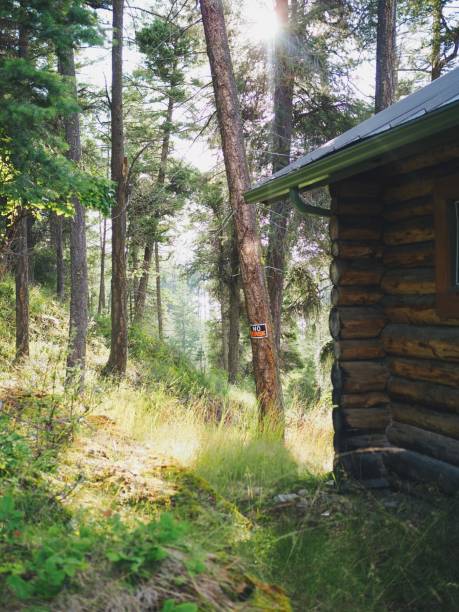 istock Golden hour in Forrest by log cabin 2167911540