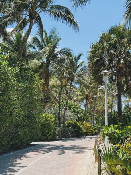 istock Walking trail by the beach in Miami 2167911915