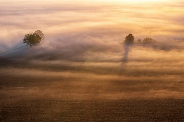 istock Trees by misty fields in the morning light 2167916201