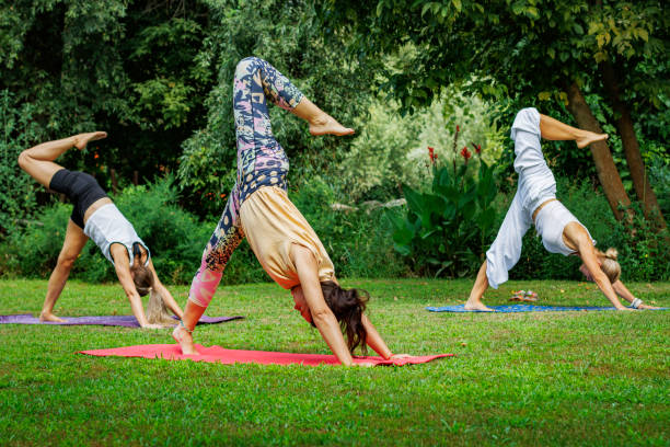 istock Yoga session masterclass in serene green nature 2167916331