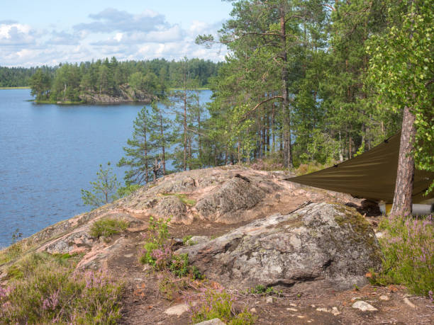 istock landscape with island in summer 2167920136