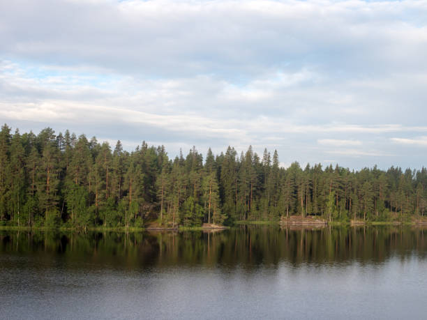 istock landscape on lake in summer 2167920175