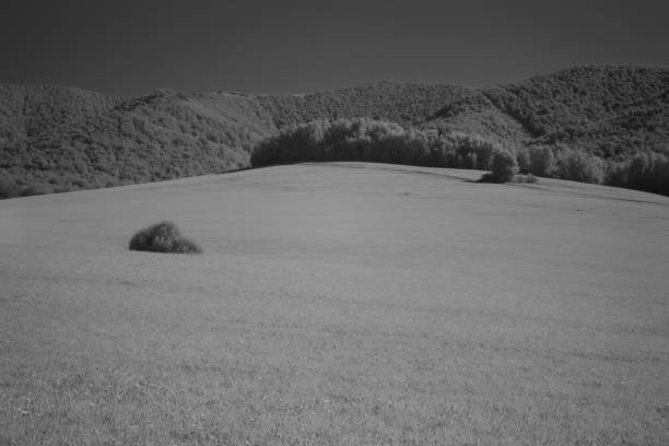 Poloniny National Park of Dark Sky Runina, Slovakia, infrared