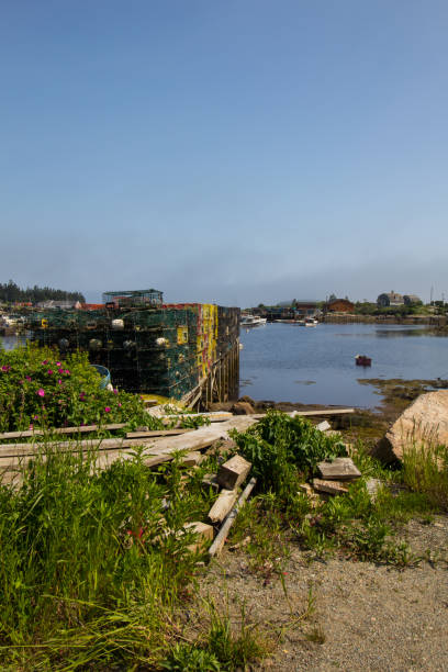 istock Waterfront of Corea, Maine in Summer 2167923452