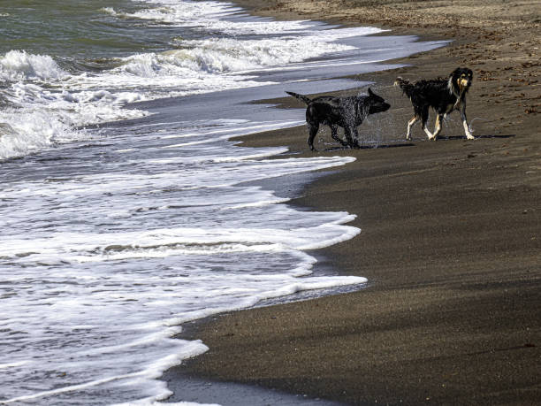 Shoreline on the sand